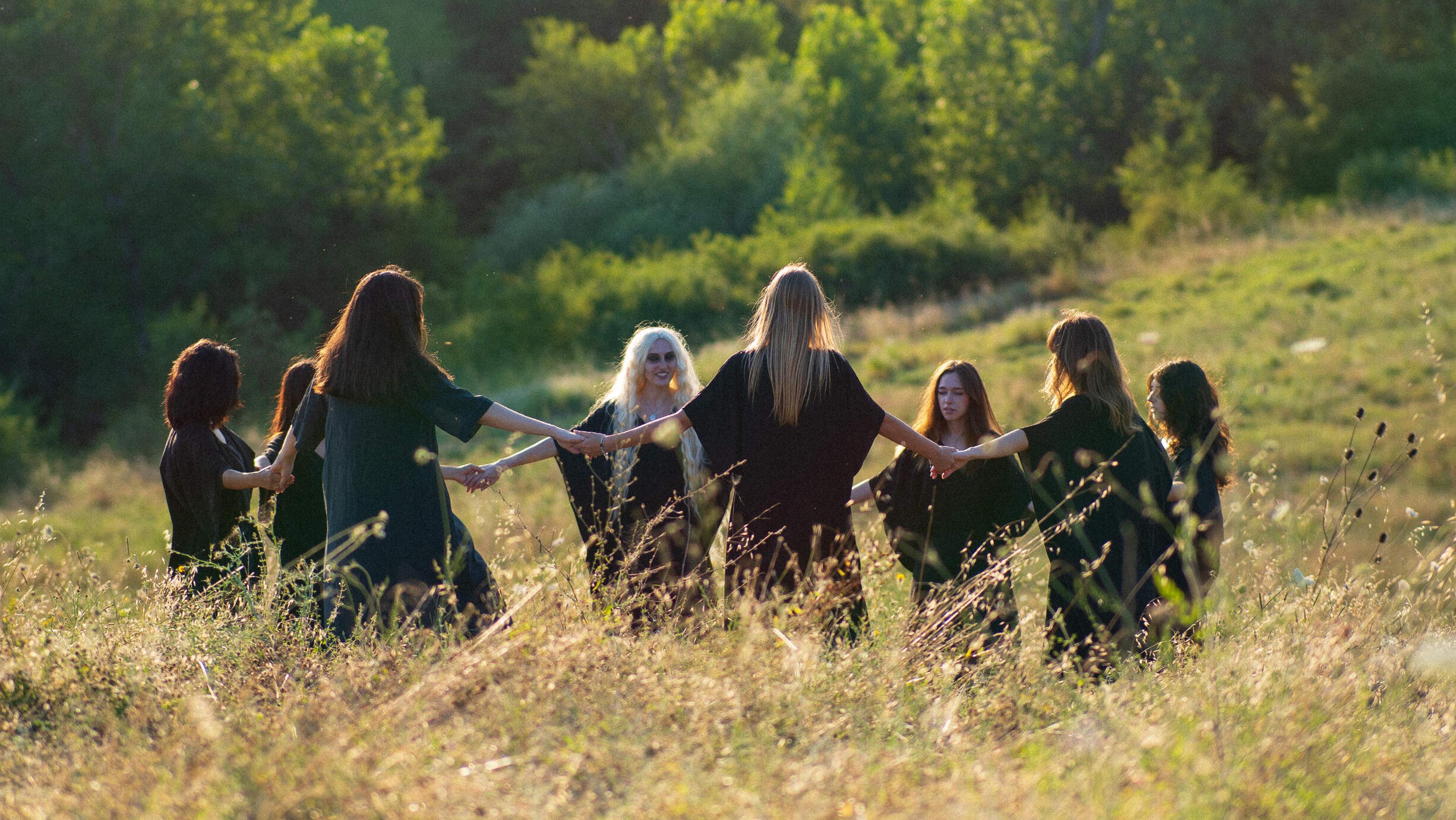 Efficitur faucibus vitae