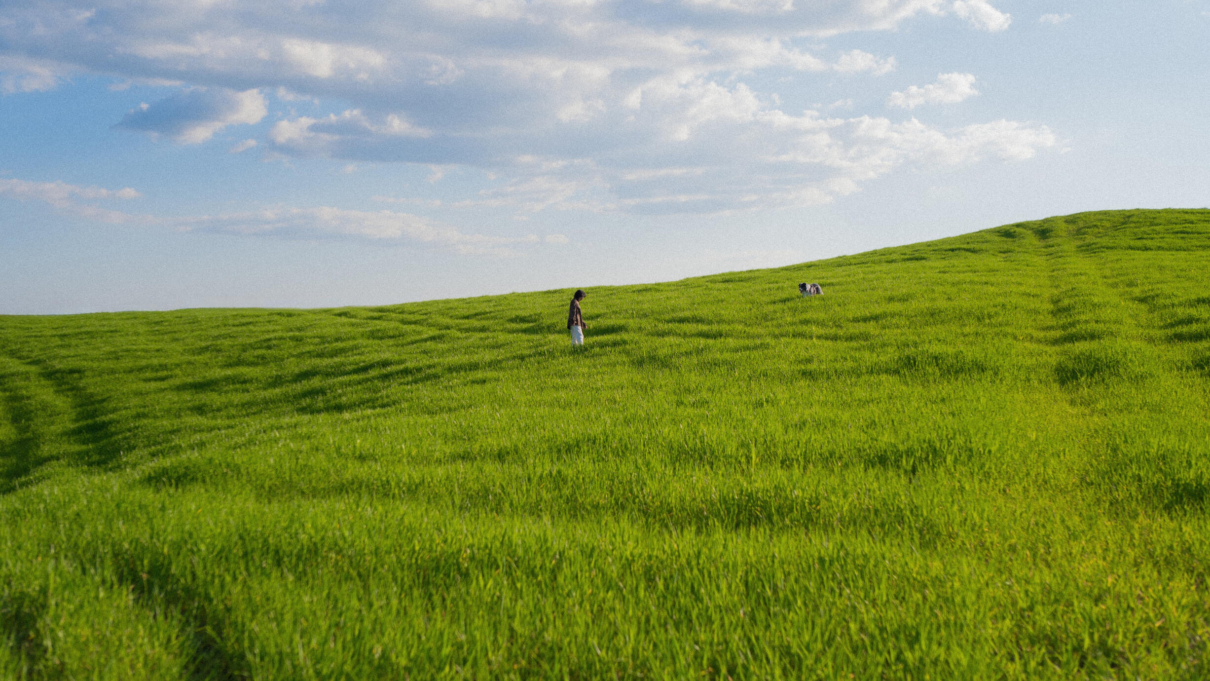 Dolor adipiscing elit